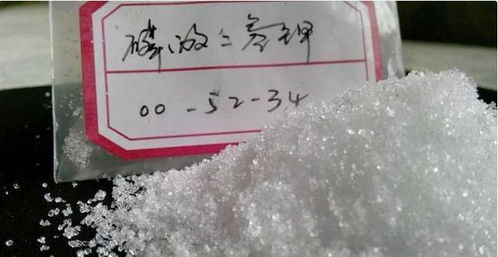 長(zhǎng)壽花蟹爪蘭年年裝菜？今年澆透2種水，30天竄出圓潤(rùn)花苞！