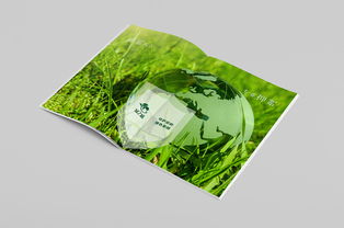 圓顆粒鉀肥產(chǎn)品手冊(cè) 高效農(nóng)業(yè)的營(yíng)養(yǎng)之選